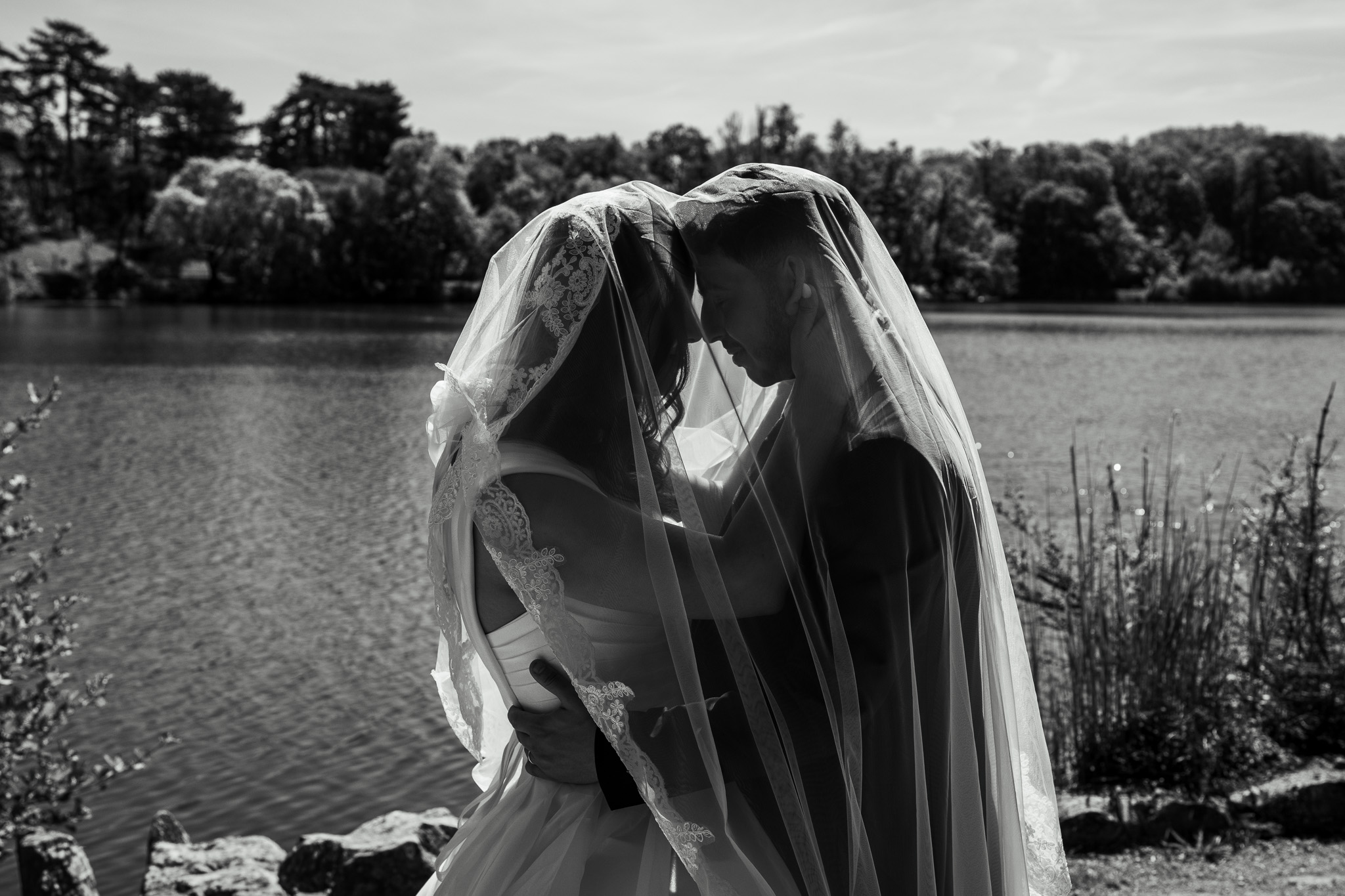 amour